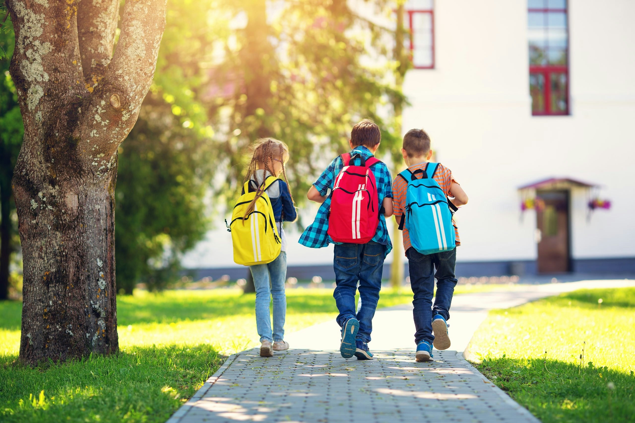 Children goes to school